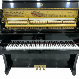 dan piano kawai us8x 2
